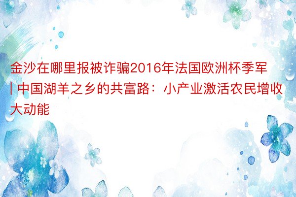 金沙在哪里报被诈骗2016年法国欧洲杯季军 | 中国湖羊之乡的共富路：小产业激活农民增收大动能