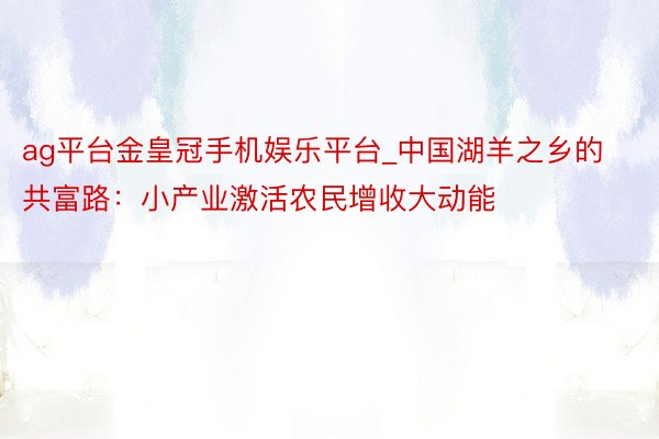 ag平台金皇冠手机娱乐平台_中国湖羊之乡的共富路：小产业激活农民增收大动能