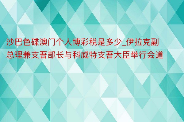 沙巴色碟澳门个人博彩税是多少_伊拉克副总理兼支吾部长与科威特支吾大臣举行会道