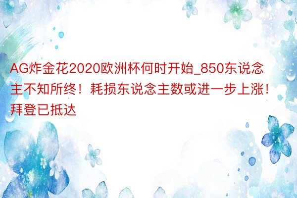 AG炸金花2020欧洲杯何时开始_850东说念主不知所终！耗损东说念主数或进一步上涨！拜登已抵达